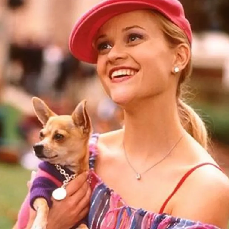 elle woods chihuahua ironic name: The Ironic Name That Captivated an Audience